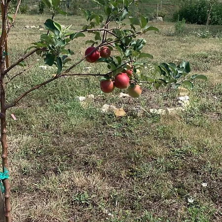 Nocleg ze śniadaniem Ecoantico Casa In Paglia 3*