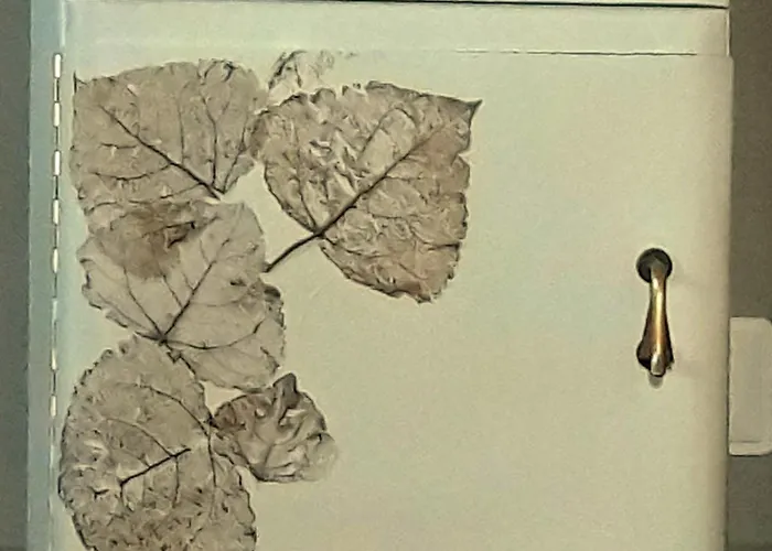 Bed and Breakfast Ecoantico Casa In Paglia Maiolo (Rimini)