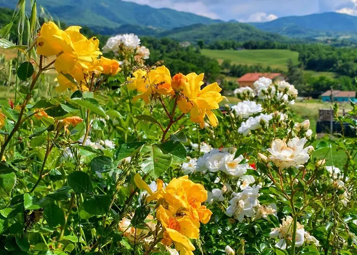 Ecoantico Casa In Paglia Maiolo (Rimini)