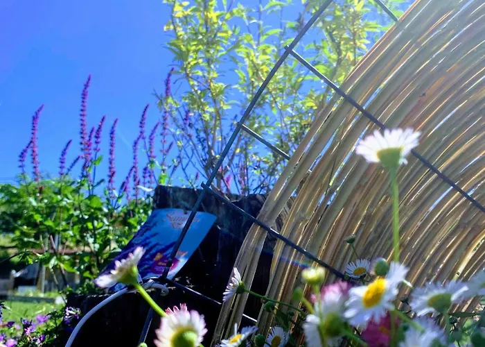 Ecoantico Casa In Paglia 3*