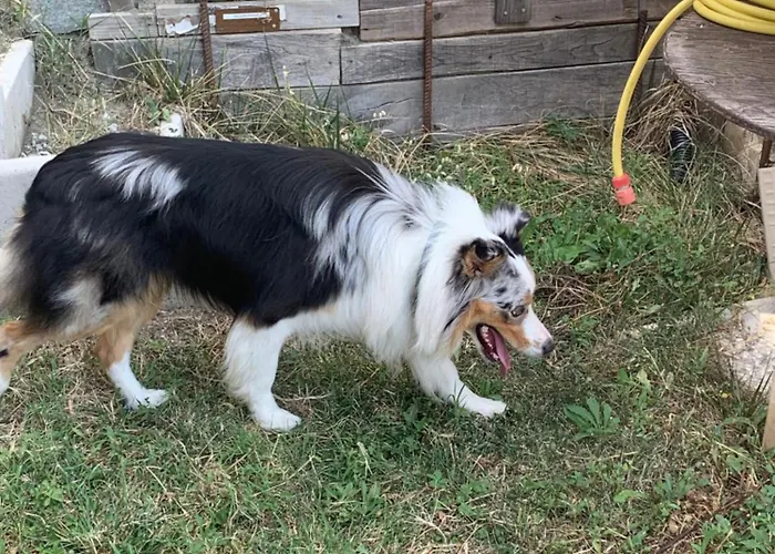 Bed and Breakfast Ecoantico Casa In Paglia