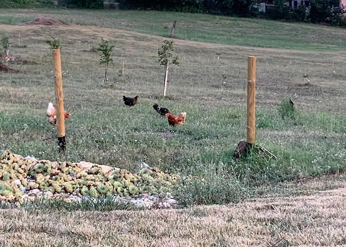 Ecoantico Casa In Paglia 3*