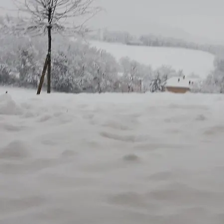 Ecoantico Casa In Paglia Bed & Breakfast *