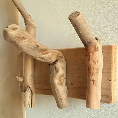 فندق مبيت وإفطار Ecoantico Casa In Paglia