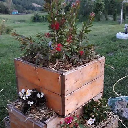 Ecoantico Casa In Paglia Maiolo (Rimini)