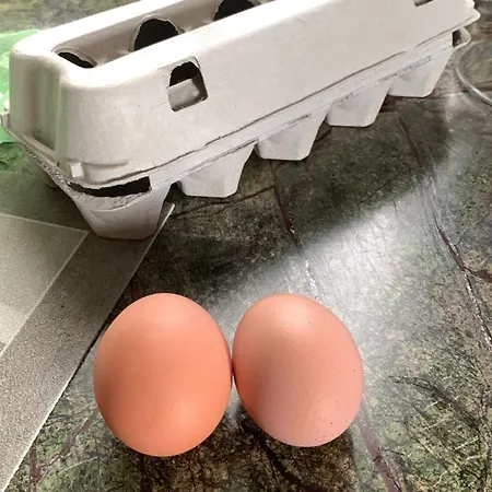 فندق مبيت وإفطار Ecoantico Casa In Paglia Maiolo (Rimini)