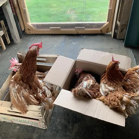 Ecoantico Casa In Paglia 3*