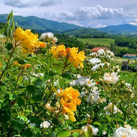 Ecoantico Casa In Paglia Maiolo (Rimini)