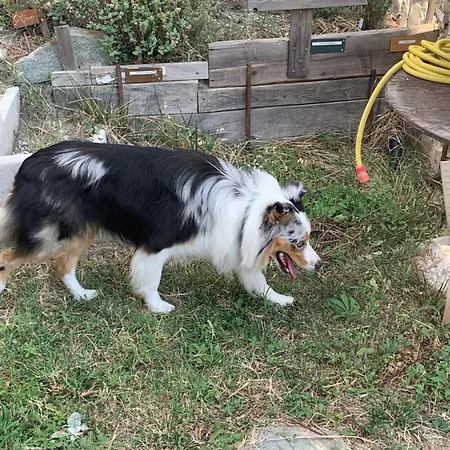 فندق مبيت وإفطار Ecoantico Casa In Paglia