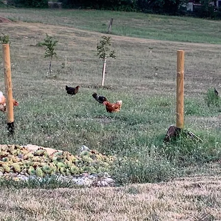Ecoantico Casa In Paglia *