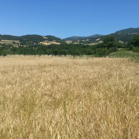 Ecoantico Casa In Paglia Отель типа 