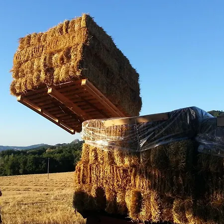 Ecoantico Casa In Paglia