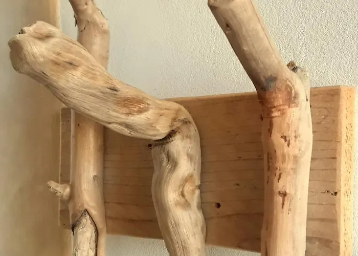 Bed & Breakfast Ecoantico Casa In Paglia