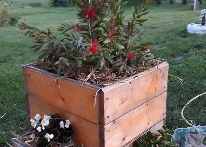 Ecoantico Casa In Paglia Maiolo (Rimini)