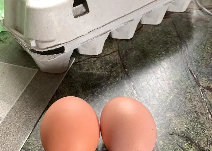 Bed & Breakfast Ecoantico Casa In Paglia Maiolo (Rimini)