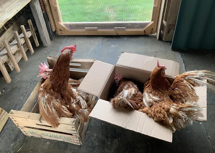 Ecoantico Casa In Paglia 3*