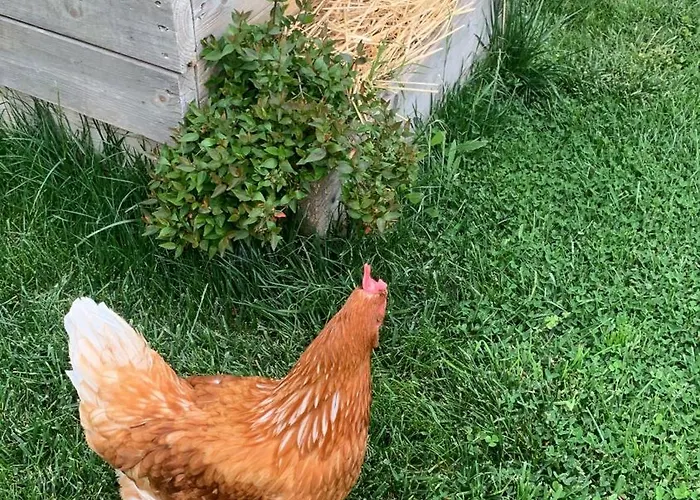 Ecoantico Casa In Paglia