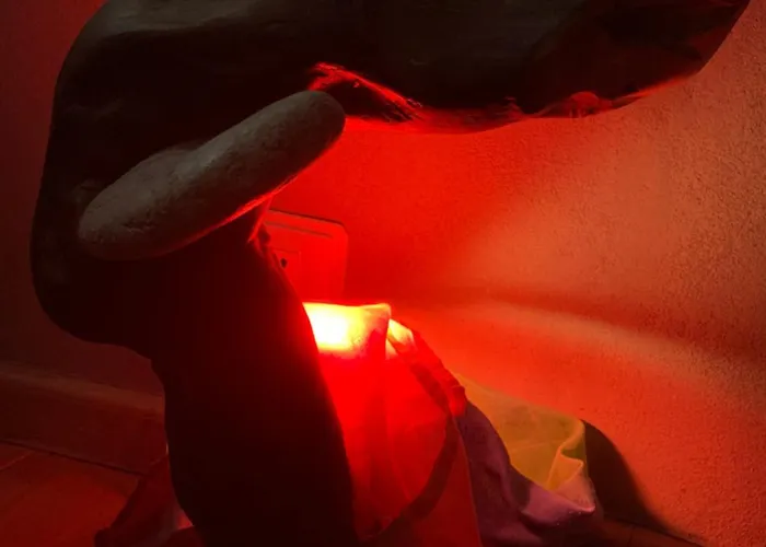 Ecoantico Casa In Paglia