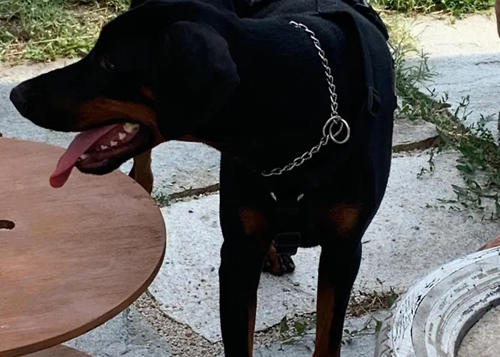 Ecoantico Casa In Paglia Bed & Breakfast